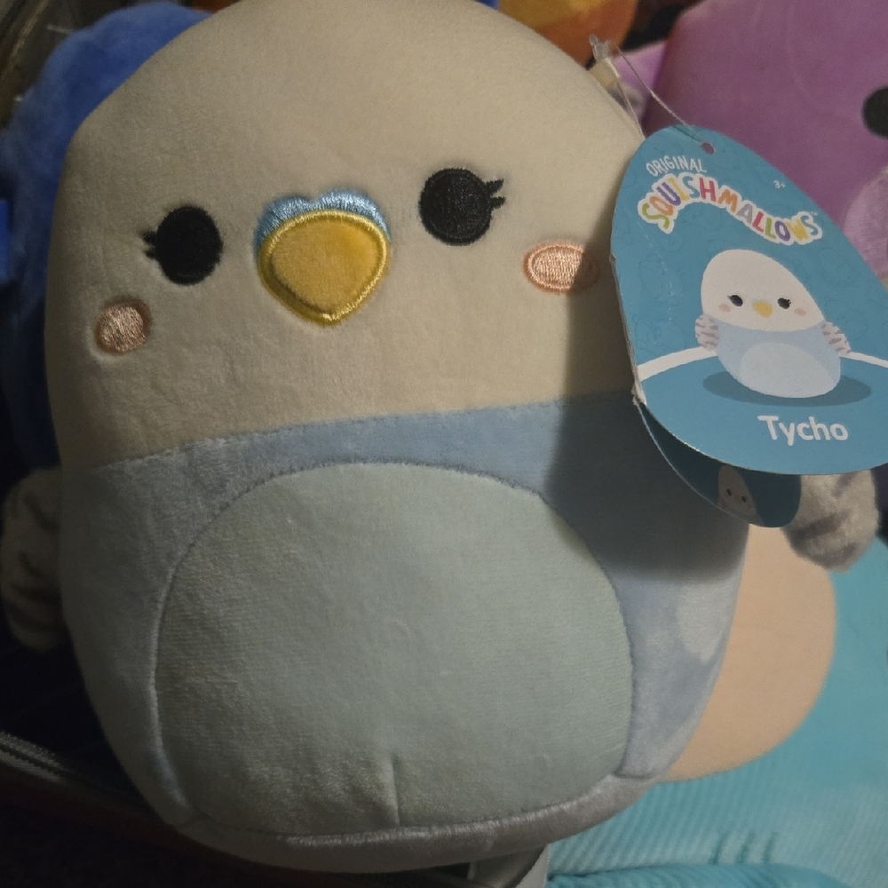 squishmallow tycho Tycho  Parakeet s7 W/tag